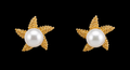18K Gold-Plated Textured Starfish Pearl Stud Earrings